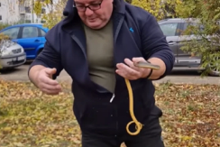 ZMIJA DUGAČKA METAR PRONAĐENA U DVORIŠTU ŠKOLE! Panika u Vranju, zmijolovac otkrio o KOJOJ je vrsti reč! (VIDEO)