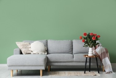 POPULARNO CVEĆE NIKAKO NE SMETE DRŽATI U JEDNOJ SOBI  Veruje se da unosi maler u kuću