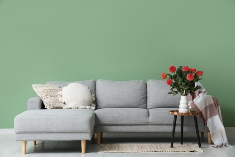 POPULARNO CVEĆE NIKAKO NE SMETE DRŽATI U JEDNOJ SOBI  Veruje se da unosi maler u kuću