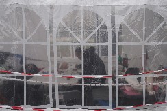 "AKO JOJ SE NEŠTO DESI, OVAJ BRADONJA ĆE BITI KRIV" Narod Srbije besan na blokadere jer zloupotrebljavaju Dijanu Hrku!