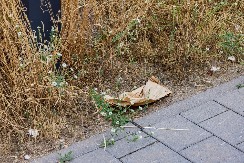 HEROJ KOJI JE ZAPALIO BALKAN! Video je misterioznu kesu na pločniku i ODMAH odjurio u policiju - ono što je usledilo je šok!