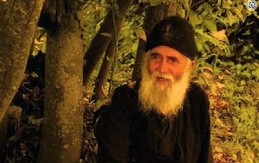 STARAC ILIJA OBJASNIO Evo zašto nikako ne biste smeli da kucnete u drvo tri puta