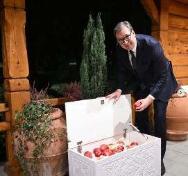 "I MI JABUKU ZA TRKU IMAMO, SAMO ŠTO JE NISMO SLIKALI": Vučić ugostio Tokajeva, na poklon dobio čuveno kazahstansko voće