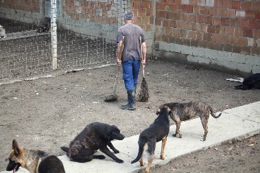 SRBIN ŽESTOKO KAŽNJEN ŠTO IH JE KRIO I HRANIO: "Uhvatili smo ga licu mesta!"