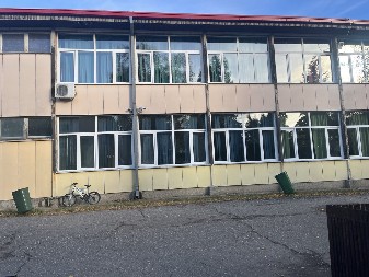 DELOVI PLAFONA OTPADAJU, PACOVI TRČE U SALI ZA FIZIČKO! Roditelji đaka osnovne škole u Banatskim Karlovcima zabrinuti zbog uslova u kojima deca pohađaju nastavu!