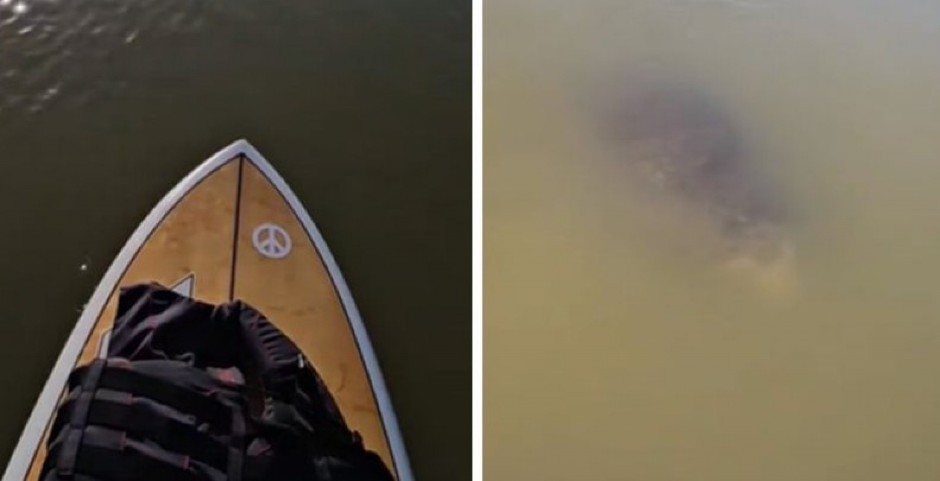 ŠTA JE BRE OVO, LJUDI MOJI? Plovila čamcem pa ugledala mehuriće na površini vode, izronilo čudovište! (VIDEO)