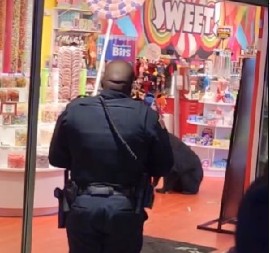 DIVLJA ZVER UPALA U PRODAVNICU SLATKIŠA Nezvani gost dohvatio bombone pa se zasladio, posetioci ga gledali u neverici! (VIDEO)