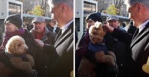 MILANOVIĆA ZAMALO IZUJEDAO PAS NA PIJACI: Pogledajte urnebesan trenutak kada je pas pokušao da ugrize predsednika Hrvatske (VIDEO)