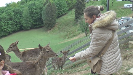 JELENI VAM JEDU IZ RUKE, TOLIKO SU PITOMI DA SVE DELUJE KAO BAJKA Ovo selo proglašeno za najlepše u Evropi