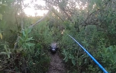 ČOVEK MIRNO PECAO, A ONDA GA POJURILA ZASTRAŠUJUĆA ZVER Jedva izvukao živu glavu, snimak gledate na sopstvenu odgovornost!