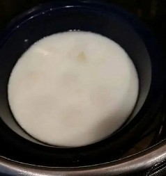 SA 74 GODINE PRONAŠLA NOVOG PARTNERA Najstarija poznata divlja ptica na svetu, albatros Visdom, snela još jedno jaje