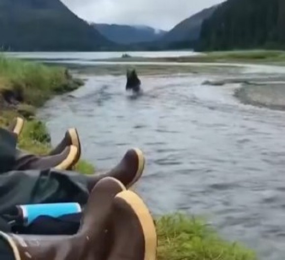 DRAMA NA OBALI REKE, DIVLJA ZVER NALETELA NA LJUDE Evo kako su uspeli da spasu živu glavu, jedna stvar je ključna! (VIDEO)