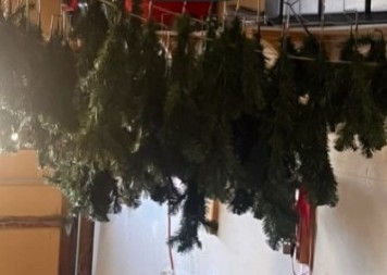 ŠTA TO RADI OVA ŽENA, POBOGU? Uzela da pere veštačku jelku, ali kad je videla šta je sve izašlo iz nje, prevrnuo joj se želudac! (VIDEO)