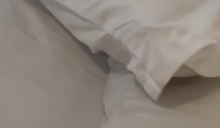 STRAŠNA SMRT VREBA U KREVETU Pogledajte šta je čovek iz Stelenboša zatekao ispod jastuka! (VIDEO)