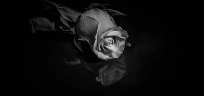 UMRO SIN HRVATSKOG POLITIČARA!