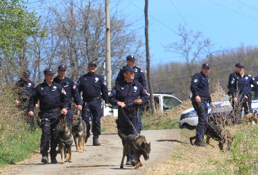 HOROR KOD KRALJEVA! PSIMA SEKAO UŠI, REPOVE... Kod stranca zatečeno više sveže odsečenih ušiju i repova