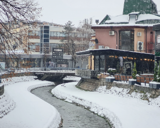 LOZNIČANI ZAVEJANI, NAPADALO BOGOVSKI! Oborena stabla po putevima, saobraćaj u kolapsu