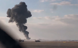 179 LJUDI MRTVO ZBOG PTICE? Ovo bi moglo da bude uzrok kobne nesreće! (VIDEO)