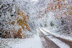 EVROPSKA ZEMLJA IZDALA HITNO UPOZORENJE ZBOG VRLO NISKIH TEMPERATURA: Obilazite prijatelje i komšije!