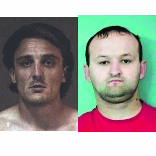 LJUBAVNA AFERA TRESE ZABELU Tocilo zaveo Miloša Simovića dok se sunčao u tangama?!