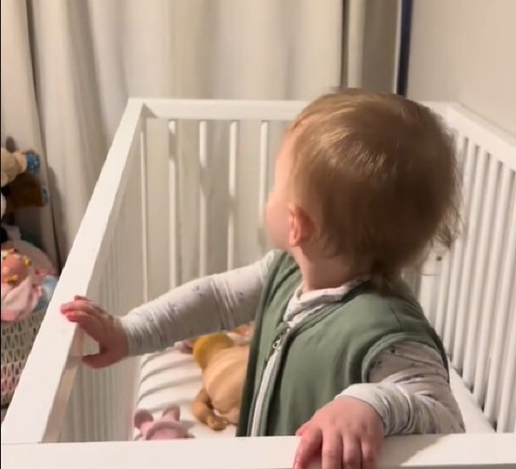 SNALAŽLJIVA BEBA ODUŠEVILA 1,5 MILION LJUDI Pronašla je savršen izgovor da ne bi išla na spavanje i sve nasmejala