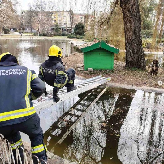 OVO JE NAJDIRLJIVIJA FOTOGRAFIJA DANA Vatrogasci spasili psa koji je upao u ledeno jezero