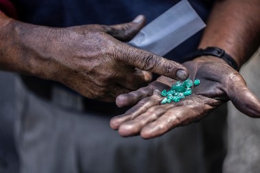 OD ĐUBRA DO BASNOSLOVNO VREDNOG BLAGA Krvava borba za biznis vredan 150 milijardi dolara( VIDEO)