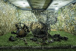 PUTINOVE REČI ZALEDILE SVET, OTKRIO DETALJE O ''OREŠNIKU'': ''Ne treba se tu zaustaviti, već razvijati...''