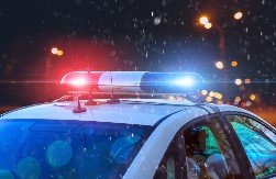 BABA PALA SA KREVETA, ONDA JU JE NAPAO PITBUL! Otac bio pod uticajem kanabisa - detalji smrti male devojčice!