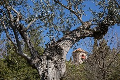 ZA OVU KUĆU KAŽU DA JE NAJUKLETIJA NA SVETU Spolja sva blista, a unutra krije jezivu tajnu