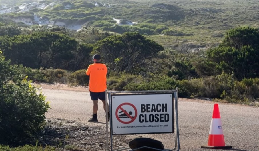 DRON SNIMIO KAKO AJKULA UBIJA SURFERA! Bilo je mnogo krvi u vodi i stvari koje ljudi nisu morali da vide" (VIDEO)
