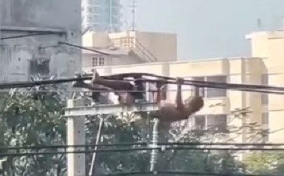 AU, BRE, DA LI JE OVAJ ČOVEK NORMALAN? Kad vidite kako trenira, neće vam biti dobro, komšije se zaprepastile! (VIDEO)