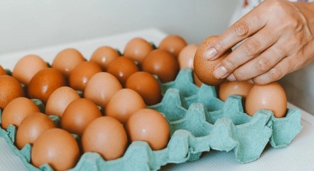 AMERIKANCI MOLE ZA POMOĆ Međutim, ništa od toga, nema jaja za izvoz