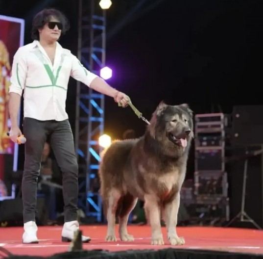 SVET POLUDEO ZA OVIM PSOM!  Prodat za 32,6 miliona dolara, evo šta ga čini posebnim! (FOTO)