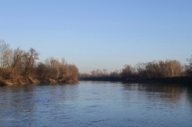 PRONAĐEN LEŠ U KORITU REKE Jeziv prizor na jugu Srbije