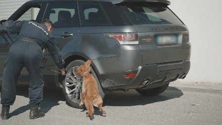 VOZIO MAJKU (71) U CRNOJ GORI, PRETRSELI MU KOLA PA ZATEKLI OVO! Odmah ih prijavili za krivično delo