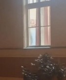 SKANDAL U BEČEJU! Blokiraju gimnaziju, dok gledaju pornografski sadržaj! (VIDEO)