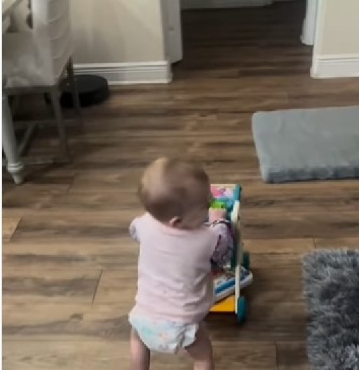 DEDA NAUČIO UNUKU NEVEROVATAN TRIK Preslatka beba raspilavila ljude kada je pokazala šta zna da uradi