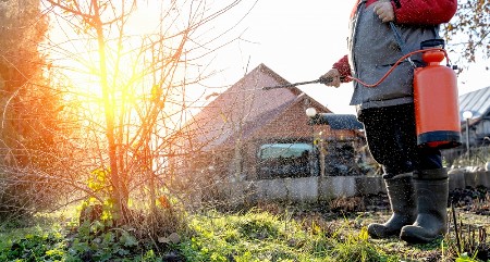NE TROŠITE NOVAC NA SKUPE I OTROVNE PESTICIDE Zaštitite voće i povrće od propadanja na ovaj način