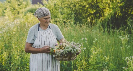 TAJNA DUGOG ŽIVOTA Jednostavne stvari su ključ dugovečnosti, nije samo ishrana važna, već i jedna navika