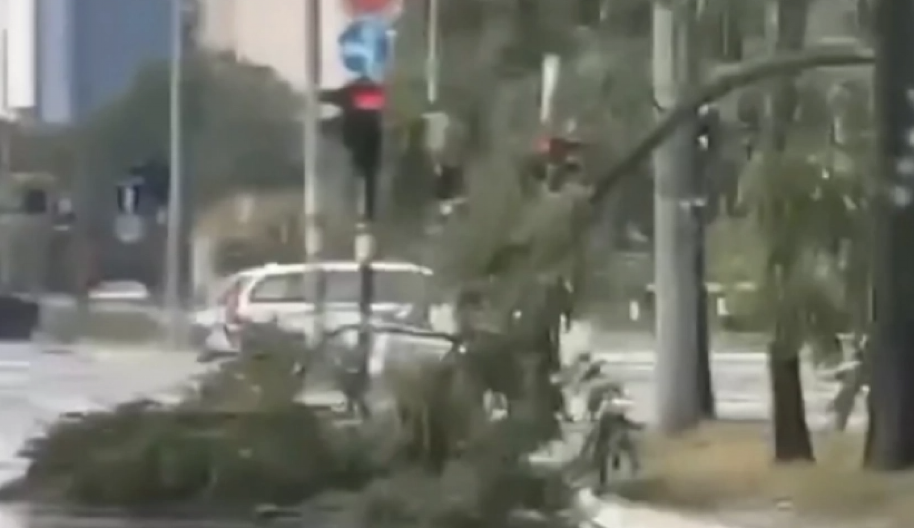 VETAR OBARA DRVEĆE, KIDA GRANE I NOSI KROVOVE! Snažno nevreme u komšiluku, evo šta se očekuje do kraja dana