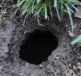 AU, ŠTA JE OVO, MAJKO MILA? Nešto je tresnulo pravo sa neba i ostavilo krater u dvorištu, vlasnici kuće zaprepašćeni !(FOTO)