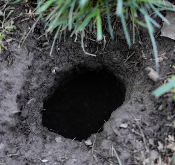 AU, ŠTA JE OVO, MAJKO MILA? Nešto je tresnulo pravo sa neba i ostavilo krater u dvorištu, vlasnici kuće zaprepašćeni !(FOTO)