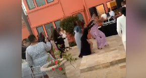 ČIM GA JE VIDELA, ODMAH JE NA NJEGA NAVALILA Primetila je bidermajer, pa krenula u napad! (VIDEO)