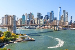 VIC DANA Došao Mujo u Njujork i iznajmi stan...