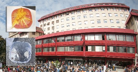 ALO! SAZNAJE: Na Ekonomskom fakultetu pronađena DROGA (FOTO)