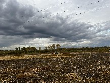 PLJUŠTI TAKO DA I KENGURI PLIVAJU! Strašne poplave u Australiji, ljudi beže na krovove kuća!