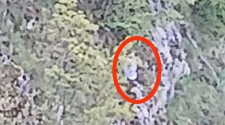 VISIO 300 METARA IZNAD SMRTI Bogdan (62) preživeo pad u provaliju kod Šavnika zahvaljujući čudu!