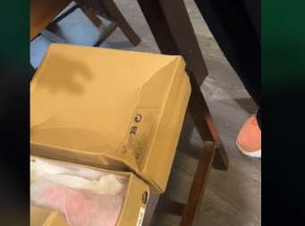 JEDVA SAM ČEKALA DA MI STIGNU PAPUČE SA TEMU-a Kad sam ih videla, samo što se nisam šlogirala!