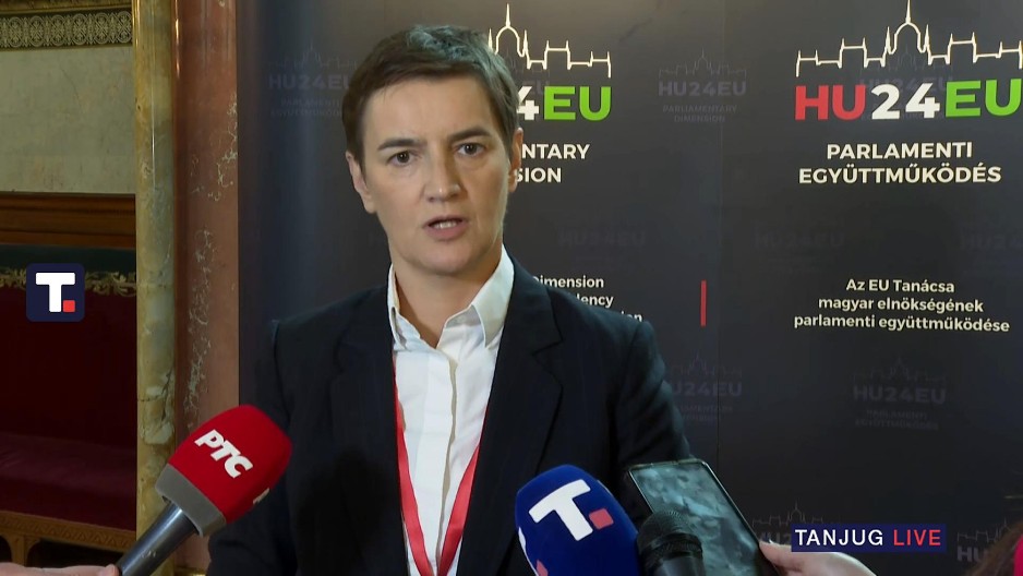 "TO JE CELA SUŠTINA BLOKADERSKE POLITIKE" Brnabić razobličila opoziciono glasilo: Jedino se tome nadaju